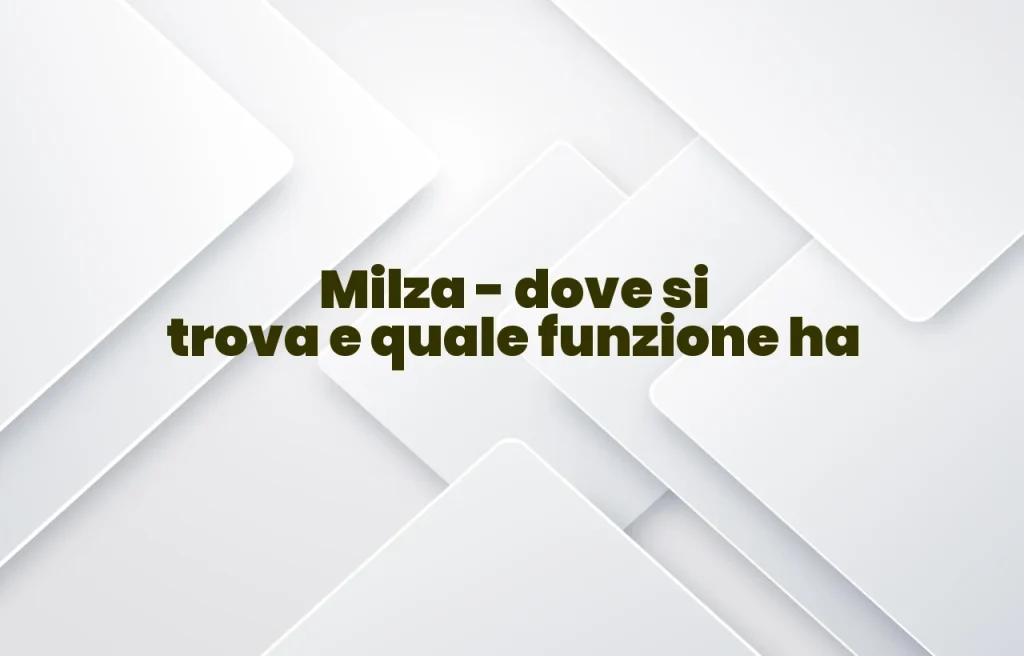 Dove si trova la milza