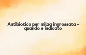 Antibiotico per milza ingrossata