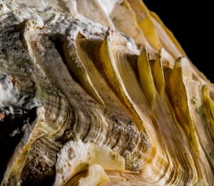 Come si pulisce il ferro da stiro dal calcare