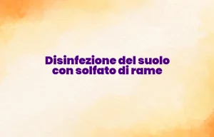 Disinfezione del suolo con solfato di rame