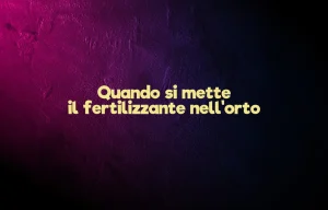 Quando si mette il fertilizzante nell'orto