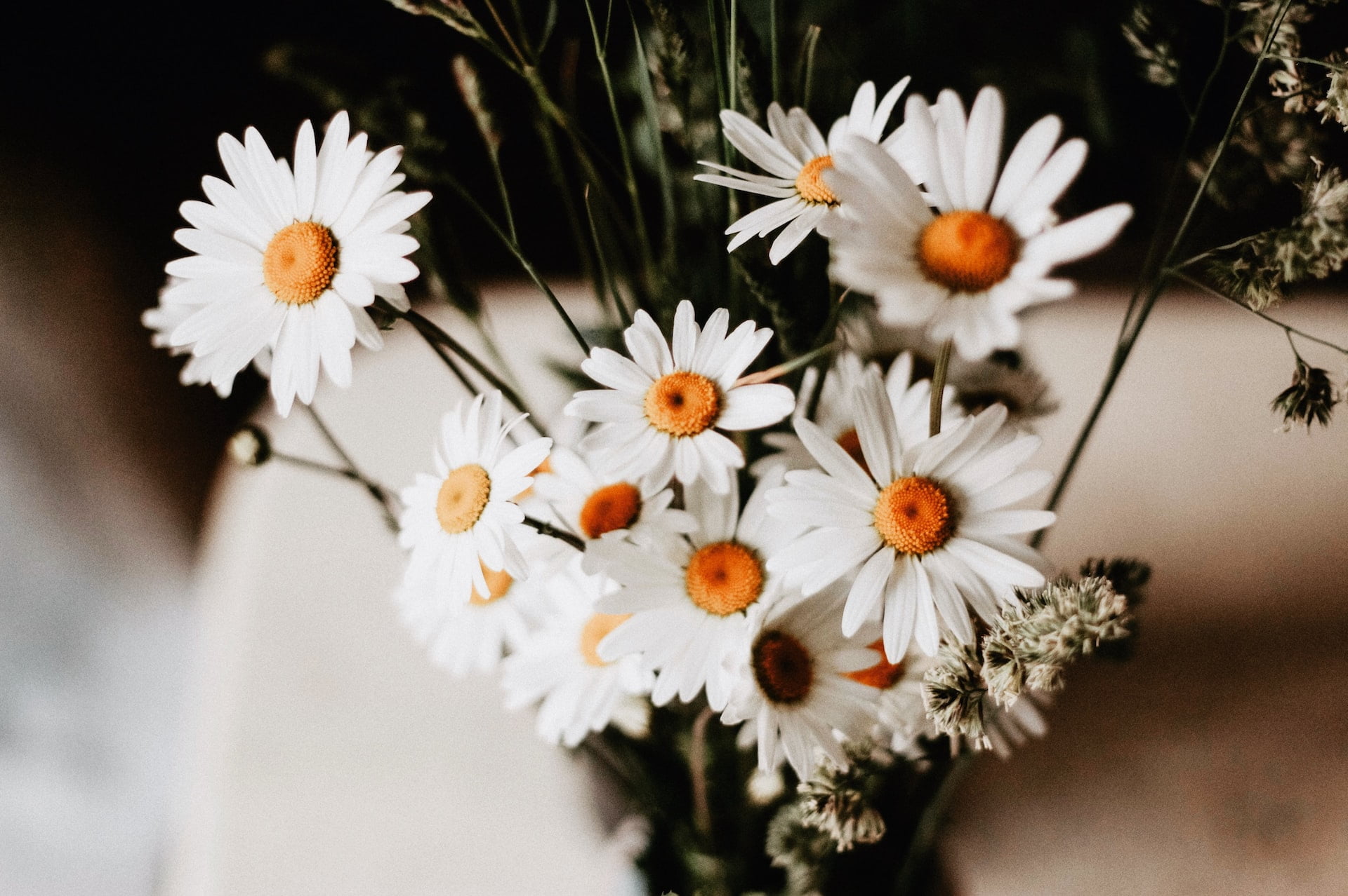 elsa noblet 68srruluupg unsplash